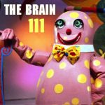 the brain